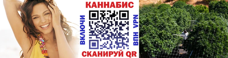 Купить закладки  Динская  Каннабис AK-47 